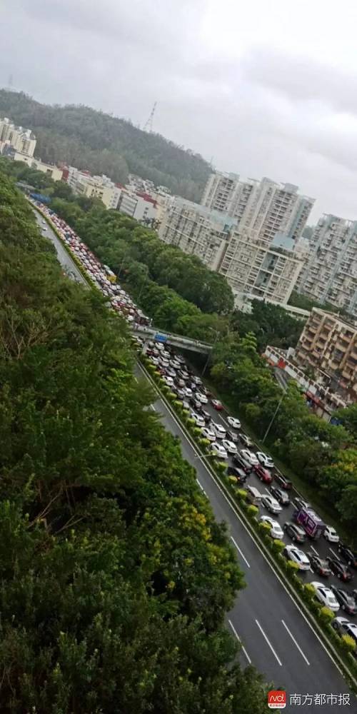 这场超级台风，暴露了中国经济四个意味深长的问题！